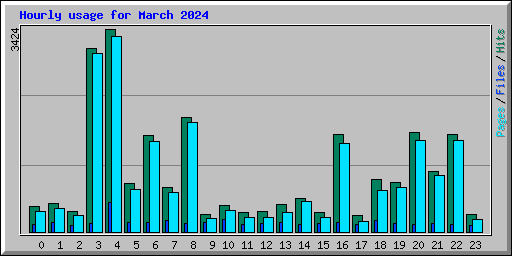 Hourly usage for March 2024